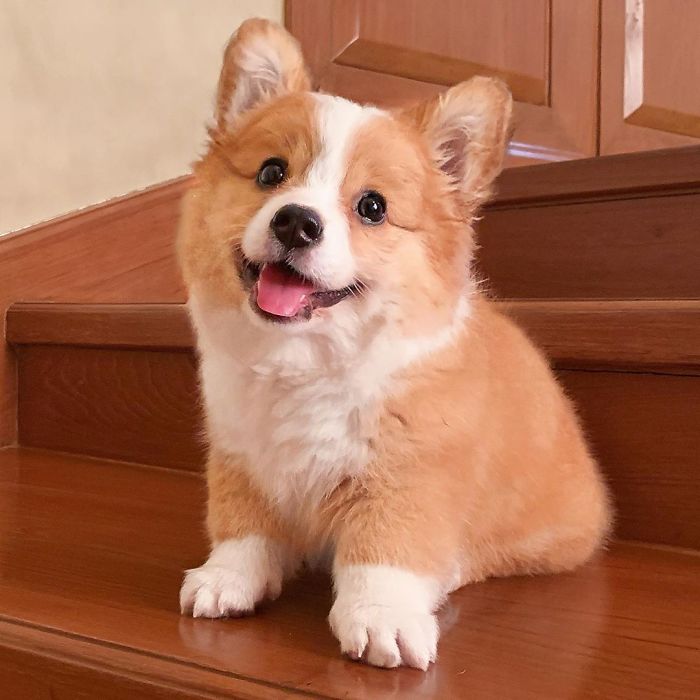 baby-on-stairs