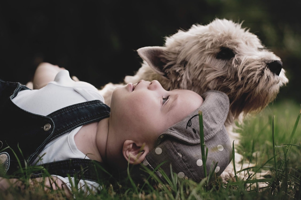 How To Get Your Baby And Your Dog Acquainted