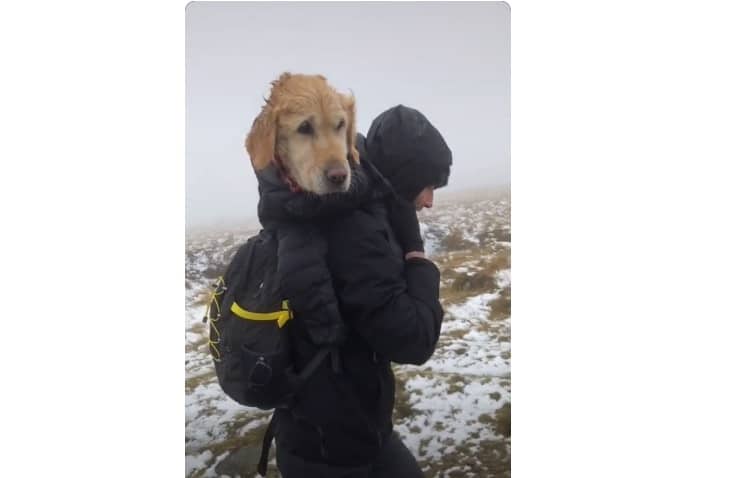 Man Carries Dying Dog For 6 Miles Down Snowy Mountains To Save Her Life