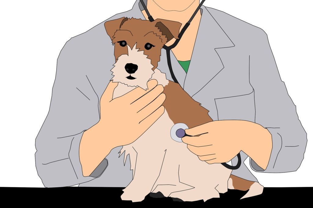 7 Tips On How To Reduce Veterinary Costs 