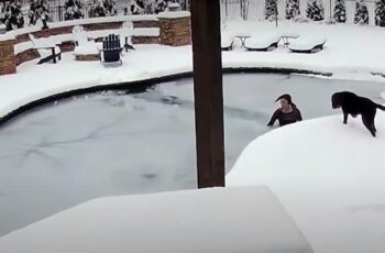 woman searches in pool