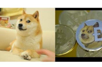 Rescue Dog Who Became Dogecoin