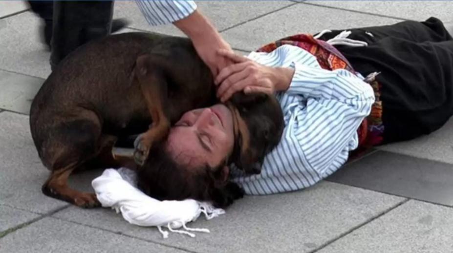 A Stray Dog Stops A Street Performance To Comfort An Injured Actor