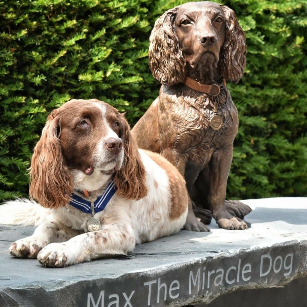 Max The Miracle Dog