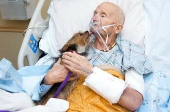 Vietnam Veteran's Last Wish To Say Goodbye To Beloved Dog Is Fulfilled