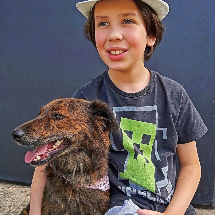Boy Bathes Stray Dogs To Improve Their Chances Of Being Adopted