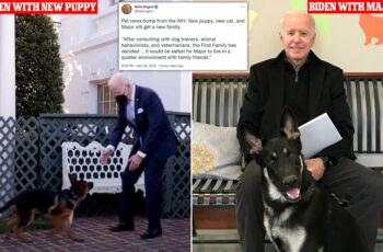 Joe Biden's New Puppy