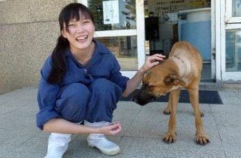 Taiwanese Vet Commits Suicide After Having to Euthanize 700 Dogs