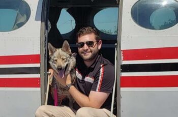Volunteer Pilot Transports Shelter Dogs To Forever Homes