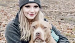 Woman Reunites With Her Stolen Pit Bull Two Years Later In A Tear-Jerking Tiktok