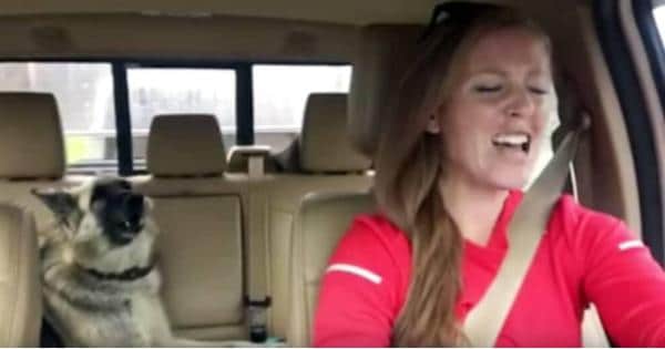 Dog Sings ‘We Are Champions’ In Car Karaoke With Owner