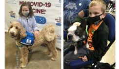 Therapy Dogs Comfort Kids Getting Covid Shots