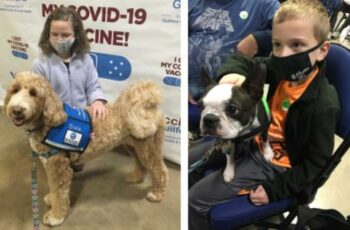 Therapy Dogs Comfort Kids Getting Covid Shots