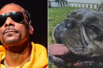 Snoop Dogg Reunites His French Bulldog Frank