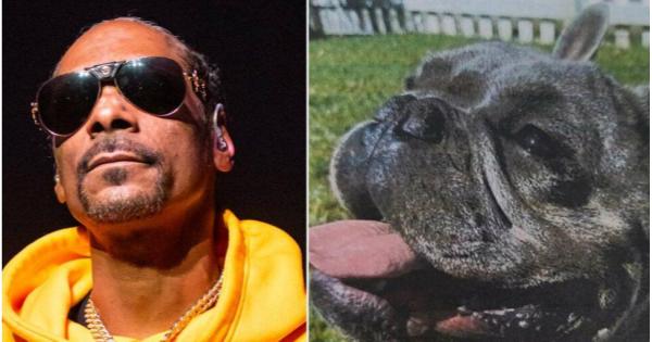Snoop Dogg Reunites His French Bulldog Frank