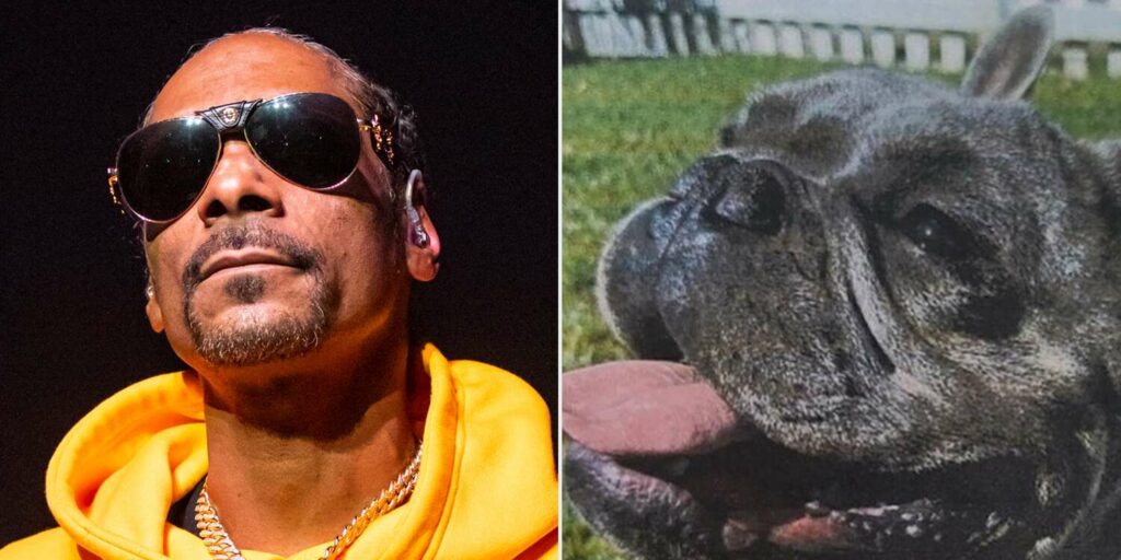 Snoop Dogg has reunited