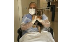 Small Dog Visits Best Friend In The Hospital Who Is Fighting Cancer