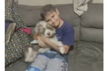 Young Boy Is Excited To Reunite With Dog He Never Thought He Would See Again